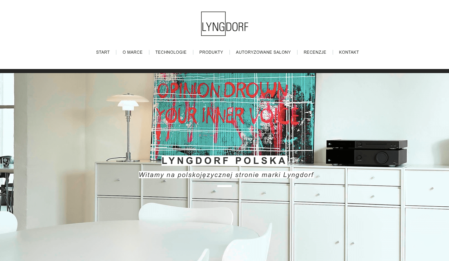 Lyngdorf Polska strona internetowa - ForWebsite